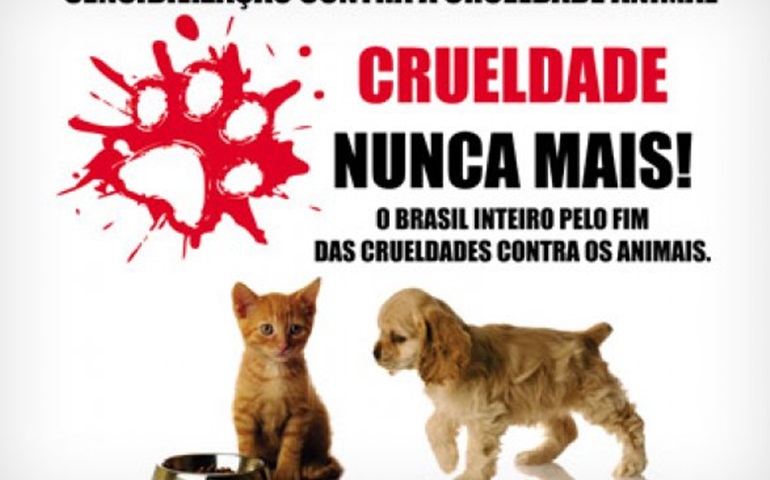 Homem é indiciado por crueldade contra animais em Avaré
