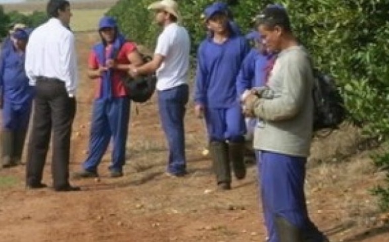 Dono de fazenda investigada por MPT promete regularizar trabalhadores