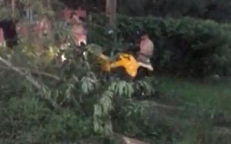 Polícia apura se piloto que bateu em árvore com quadriciclo era habilitado