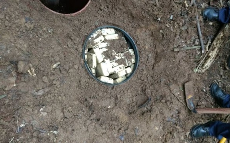 GCM e polícia apreendem mais de 160 kg de maconha enterrados em área florestal