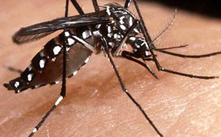 Bairro do Camargo receberá ação de combate à Dengue 