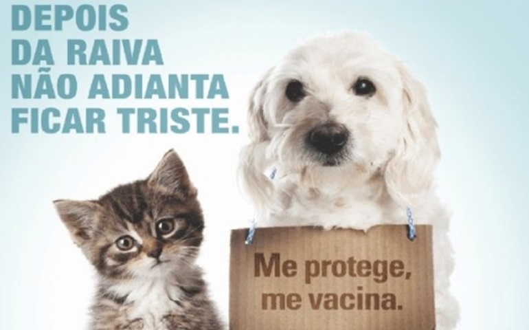 Vigilância Sanitária realizará Campanha de Vacinação Antirrábica