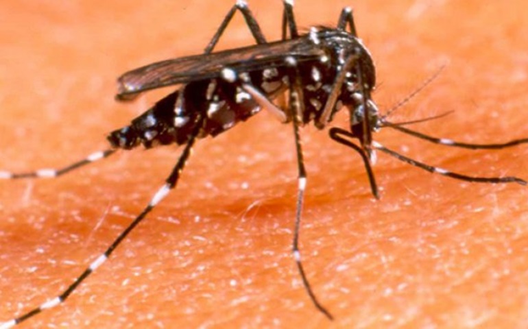  Saúde confirma o 1º caso de zika vírus em Botucatu