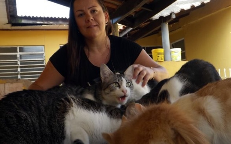 Mulher supera síndrome do pânico e depressão após adotar mais de 50 animais: 'Eles me salvaram'