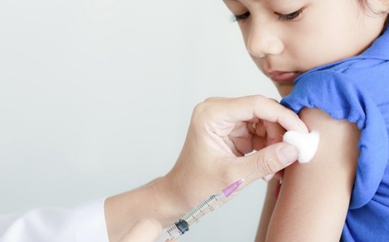 H1N1: Entenda como funciona a vacina da gripe