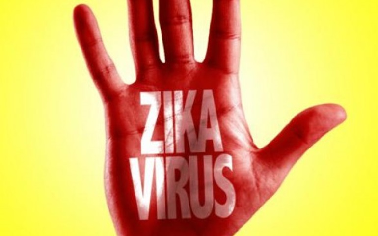 Mais um estudo confirma que zika mata células do cérebro